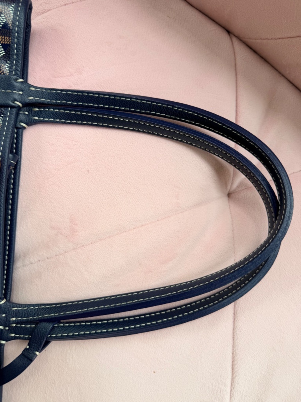 Goyard Mini Anjou Tote Bag - Picture 11 of 14
